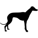 Favicon of Greyhound Friends of North Carolina