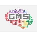 Grey Matter Solutions Llc logo