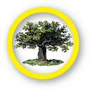 GRIT logo