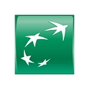 BNP Paribas Icon