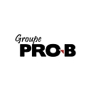 Groupe Pro B logo