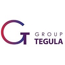 Group Tegula Limited logo