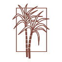 Waioli Corporation logo