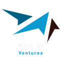 Grow Big Ventures