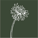 Logo for growforagecookferment.com