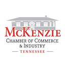 The Industrial Development Corp logo