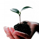Growth Resources of Wellsboro Foundation logo
