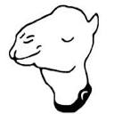 grumpycamel.com logo