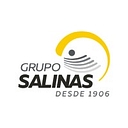 Grupo Salinas logo
