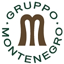 Gruppo Montenegro