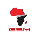 GSM Group logo