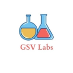 gsvlabs logo