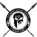 Government Training Institute logo