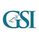 Guardianship Services Inc logo