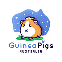 Guinea Pigs Australia