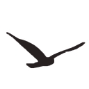 Gulfside Docks Corp. logo
