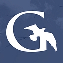 Gullview Technologies logo