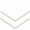Gunfighter Oil logo