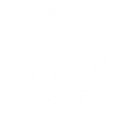Galena USD 120 logo