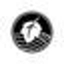 Nazarene logo