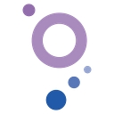 R1 logo