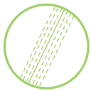 Canterbury Cricket Trust logo