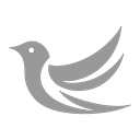 Haize Labs logo