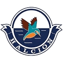 Halcion Group logo