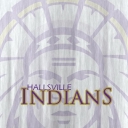 Hallsville R Iv School logo