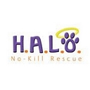 Helping Animals Live and Overcome