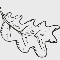 Hampton Manor Limited logo