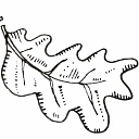 Hampton Manor & Peel's Restaurant logo