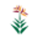 Handmaker Jewish Services for the Aging logo