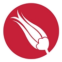Handsonturkish logo