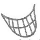 Hannon Orthodontics logo