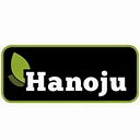 Favicon of Hanoju B.v.