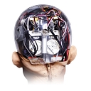 Hanson Robotics logo