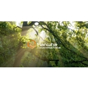Hanwha International LLC