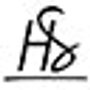 HappyStrappy.nl logo