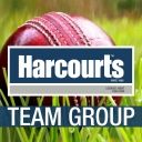 Harcourts Team Group logo