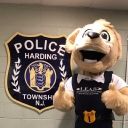 Township of Harding logo