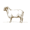 Cotswold Inns & Hotels logo