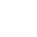 Harps Corp logo