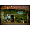 Hasegawa General Store