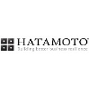 Hatamoto logo