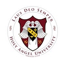 Angel Holy Homes logo