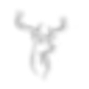 Cicely Haughton School logo