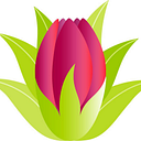 Hau'oli Mau Loa Foundation logo
