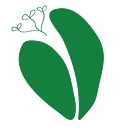 Hava Studios logo