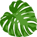 Hawaii Dermatology And Plastic Surgery Centers logo